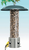 bf_perkypet396-2.jpg